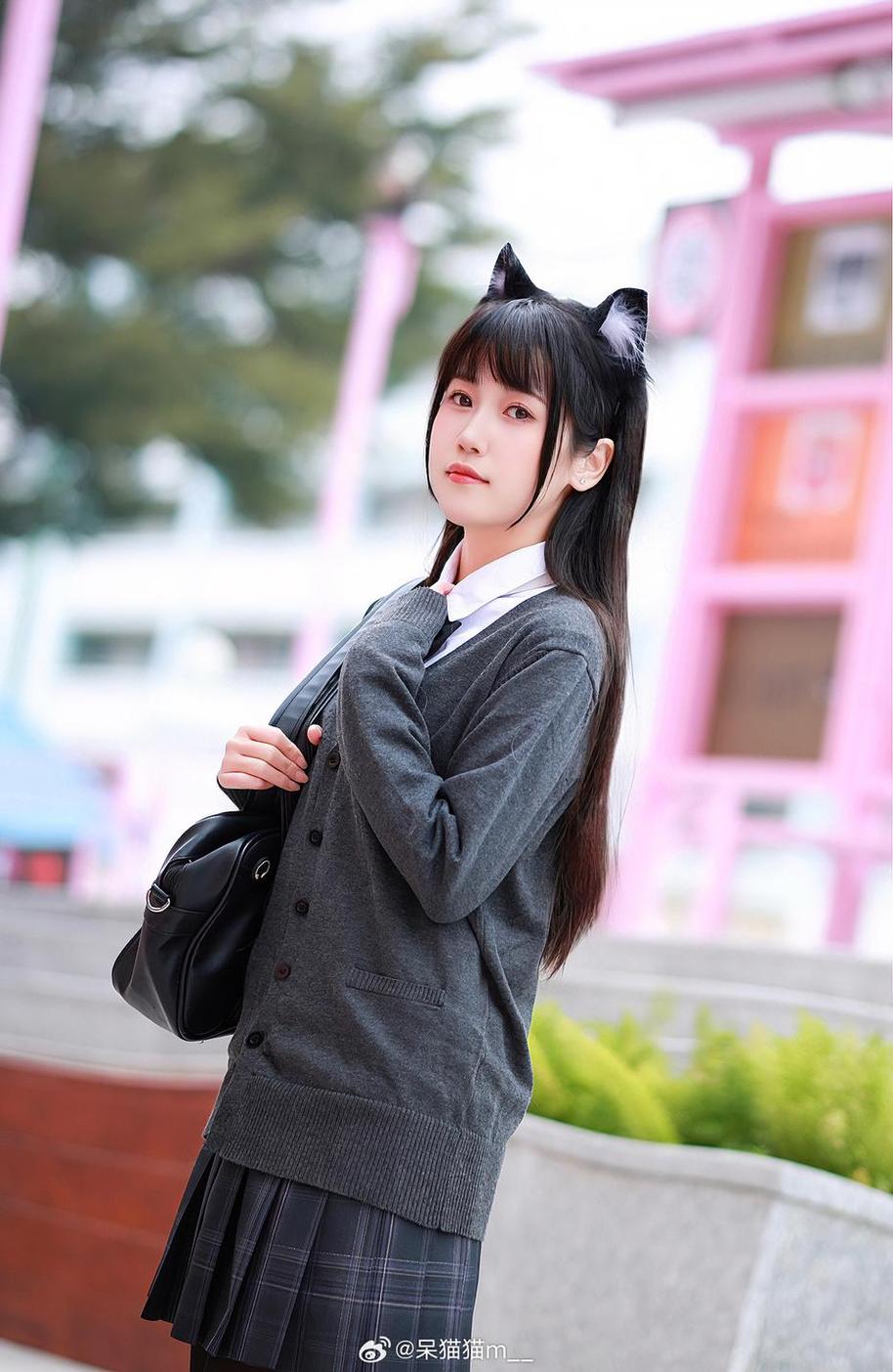 这些不呆猫cos奶油少女的照片实在太令人惊艳了- 伊图恋